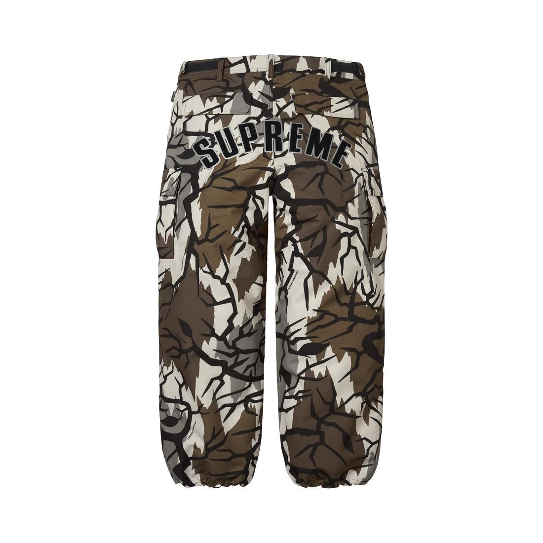 Supreme GORE-TEX Cargo Pant Predator Camo - Im Your Wardrobe