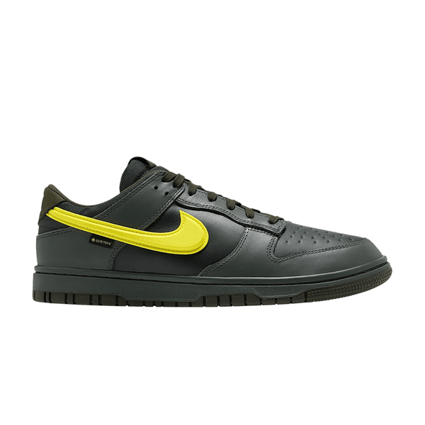 Nike Dunk Low GORE-TEX Camo Green Black Spruce