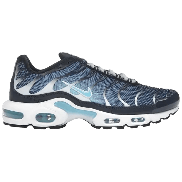 Nike Air Max Plus Dark Obsidian - Im Your Wardrobe