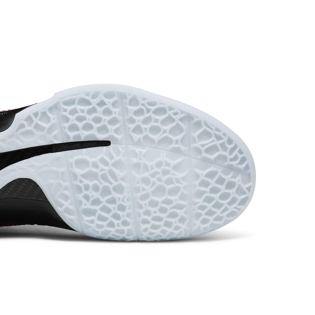Nike Kobe 6 Protro All-Star (2021) - Im Your Wardrobe