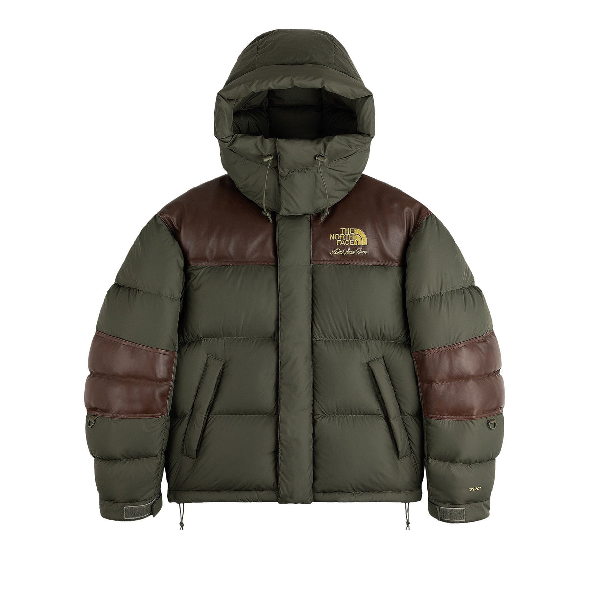 The North Face x Aime Leon Dore Baltro Jacket New Taupe front