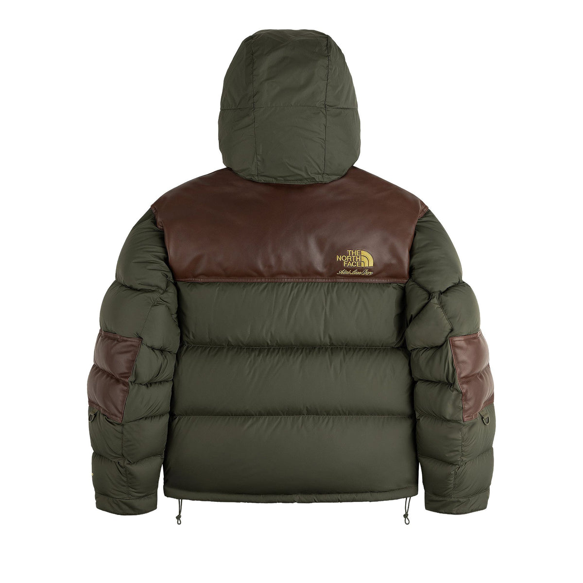 The North Face x Aime Leon Dore Baltro Jacket New Taupe back