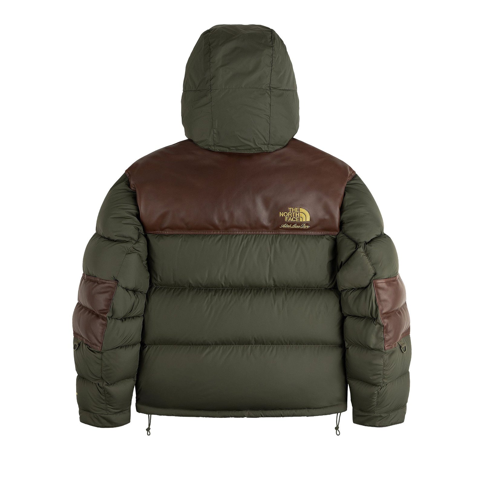 The North Face x Aime Leon Dore Baltro Jacket New Taupe front