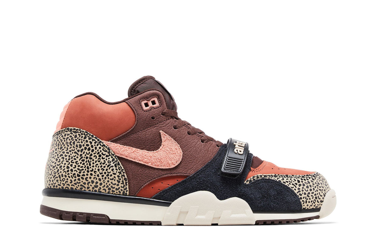 Arts-Rec x Nike Air Trainer 1 SB For Recreational Use - Im Your Wardrobe