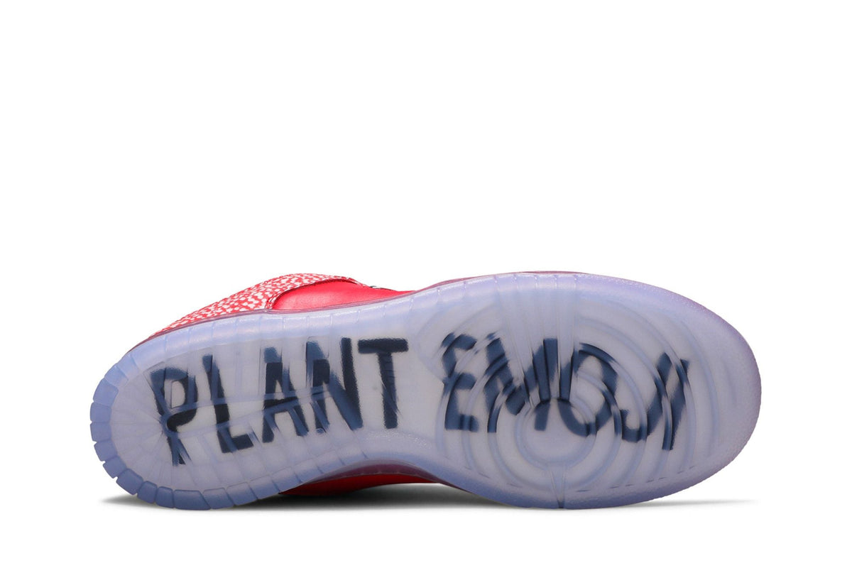 Stingwater x Nike Dunk Low SB Magic Mushroom - Im Your Wardrobe
