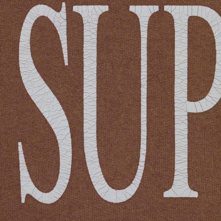 Supreme Capital Hooded Sweatshirt Brown - Im Your Wardrobe