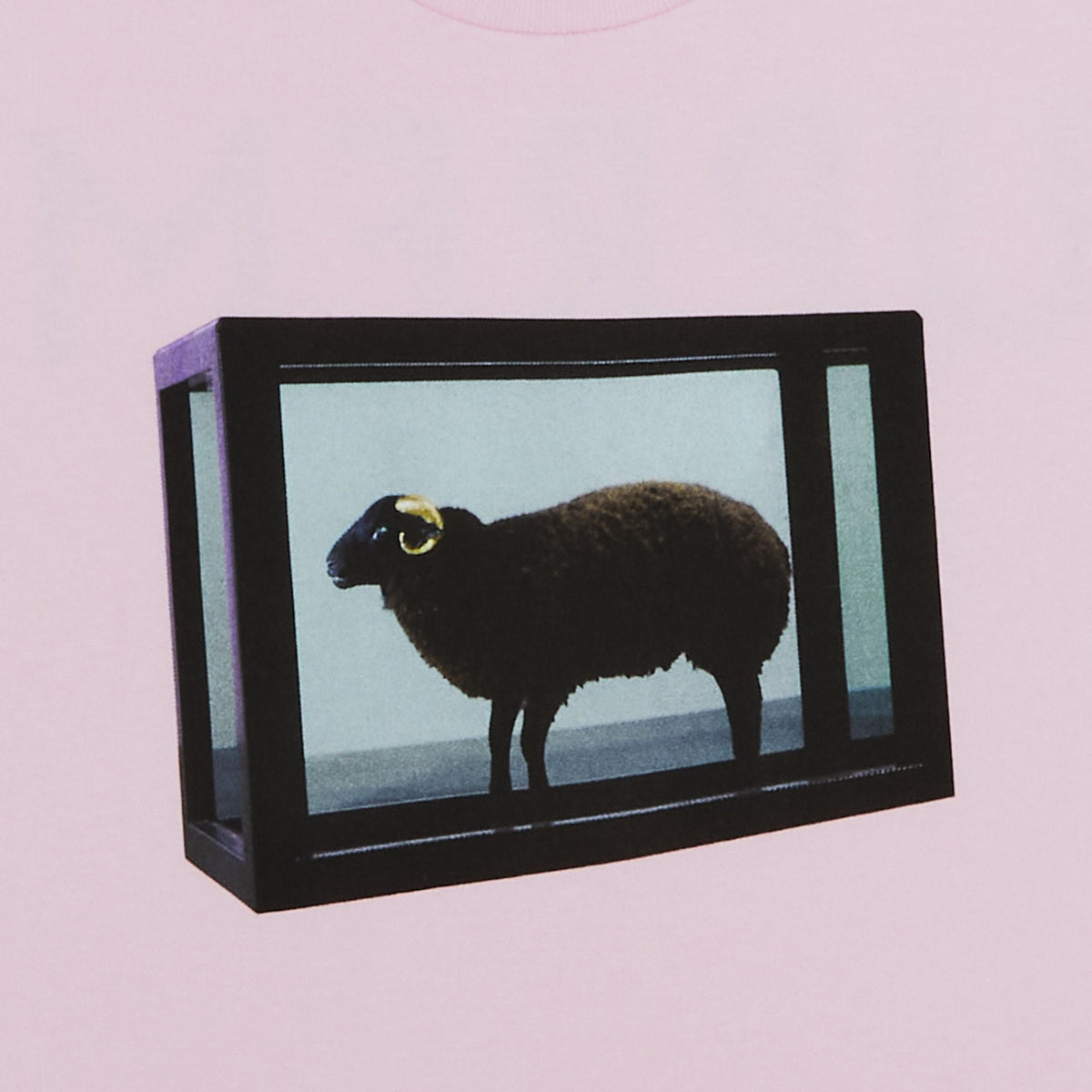 Supreme Damien Hirst Tee Light Pink - Im Your Wardrobe